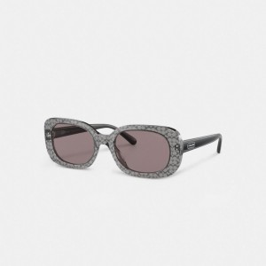 Coach Badge Rounded Square Sunglasses Transparent Grey Signature | COH866369
