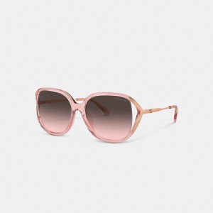 Coach Bandit Oversized Square Sunglasses Pink/Rose Gold | COH866329