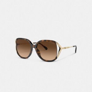 Coach Bandit Oversized Square Sunglasses Dark Tortoise/Gold | COH866384