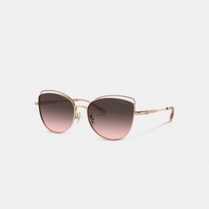 Coach Bandit Wire Oval Sunglasses Grey Pink Gradient | COH866381
