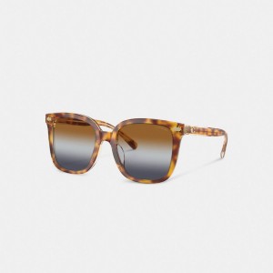 Coach Beveled Signature Oversized Square Sunglasses Brown Blue Grey Gradient | COH866364