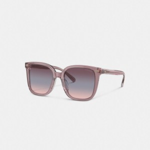 Coach Beveled Signature Oversized Square Sunglasses Transparent Blush | COH866399