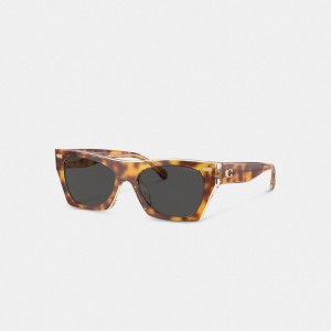 Coach Beveled Signature Square Sunglasses Dark Tortoise/Beige | COH866391