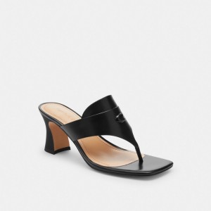 Coach Bree Sandal Black | COH865866
