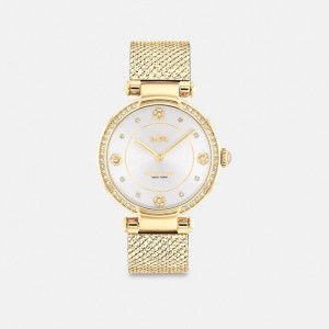Coach Cary Watch, 34 Mm Gold | COH866248