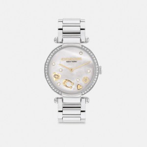 Coach Cary Watch, 34 Mm Stainless Steel | COH866281