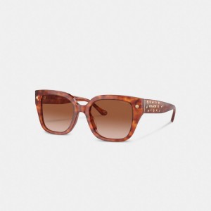 Coach Charms Oversized Square Sunglasses Caramel Tortoise | COH866328