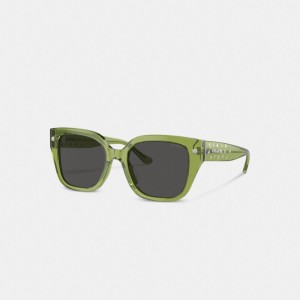 Coach Charms Oversized Square Sunglasses Green | COH866383