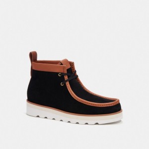 Coach Chukka Boot Black | COH866855