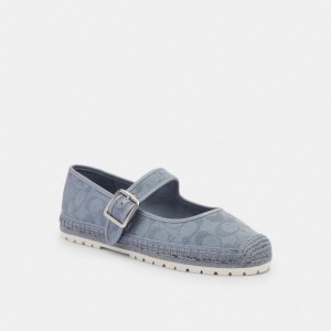 Coach Courtney Espadrille In Signature Canvas Grey Blue | COH865768