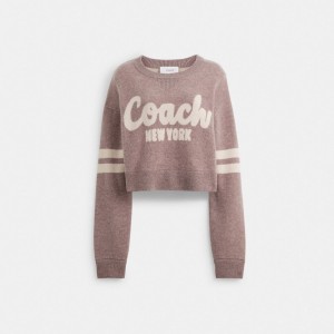 Coach Cropped Sweater Pink | COH865984