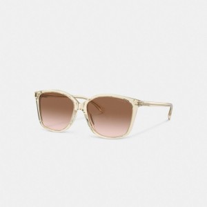 Coach Embedded Wire Square Sunglasses Brown Pink Gradient | COH866357