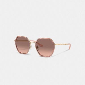 Coach Embellished Narrow Metal Hexagon Sunglasses Pearlized Pink | COH866326