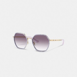 Coach Embellished Narrow Metal Hexagon Sunglasses Purple Gradient | COH866347