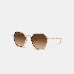 Coach Embellished Narrow Metal Hexagon Sunglasses Brown Gradient | COH866379