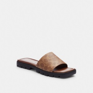Coach Florence Sandal In Signature Canvas Coated Canvas/Khaki/Dark Saddle | COH865887