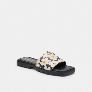 Coach Florence Sandal With Floral Print Leather/Chalk Multi | COH865889