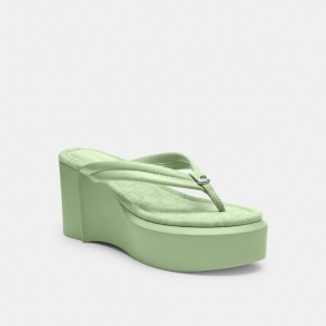 Coach Franki Flip Flop In Signature Jacquard Pale Pistachio | COH865848
