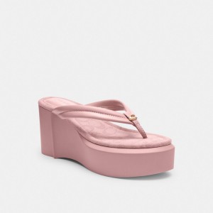 Coach Franki Flip Flop In Signature Jacquard Light Rose | COH865875
