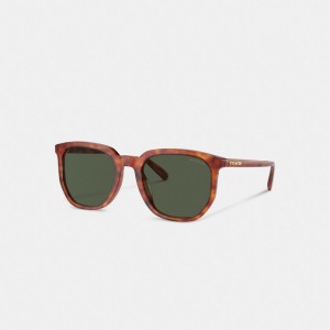 Coach Geometric Square Sunglasses Tortoise Green | COH866336