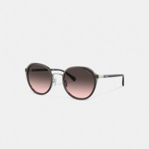 Coach Hangtag Geometric Round Sunglasses Transparent Gray | COH866335