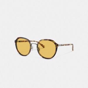 Coach Hangtag Geometric Round Sunglasses Honey Tortoise | COH866360