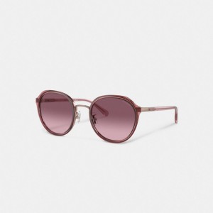Coach Hangtag Geometric Round Sunglasses Transparent Berry | COH866394