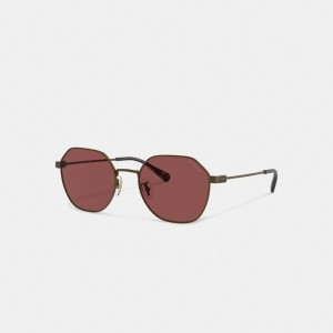 Coach Hinged Geometric Round Sunglasses Antique Gold/Wine | COH867066