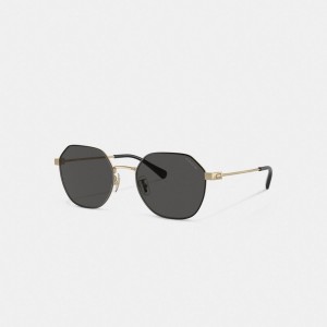 Coach Hinged Geometric Round Sunglasses Gold Black | COH867080