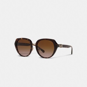 Coach Horse And Carriage Oversized Round Sunglasses Dark Tortoise | COH866376