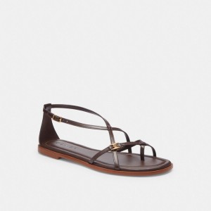 Coach Jenni Sandal Maple | COH865861