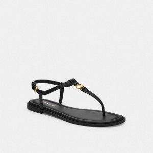 Coach Jessica Sandal Black | COH865877