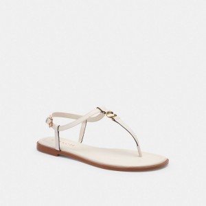 Coach Jessica Sandal Chalk | COH865862
