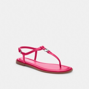 Coach Jessica Sandal Dragon Fruit | COH865849