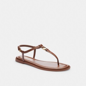 Coach Jessica Sandal Saddle | COH865902
