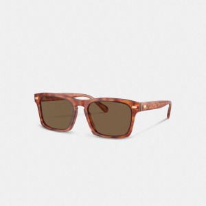 Coach Keyhole Square Sunglasses Caramel Tortoise | COH867072