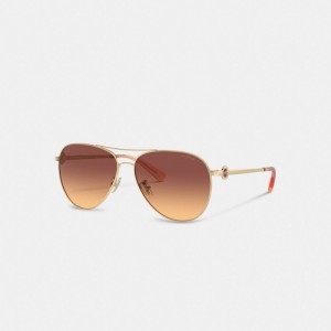 Coach Metal Aviator Sunglasses Dark Brown | COH866377