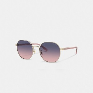 Coach Metal Hexagon Sunglasses Purple/Pink | COH866356