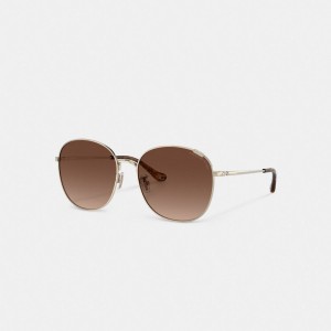 Coach Metal Round Sunglasses Transparent Brown | COH866365