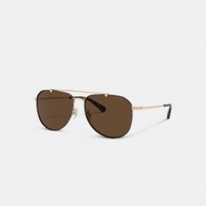 Coach Metal Windsor Pilot Sunglasses Dark Brown | COH867057