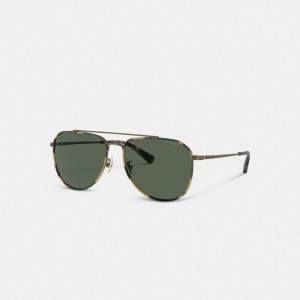 Coach Metal Windsor Pilot Sunglasses Dark Tortoise/Antique Gold | COH867078