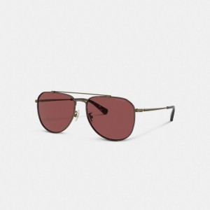 Coach Metal Windsor Pilot Sunglasses Wine | COH867065