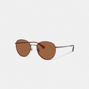 Coach Metal Windsor Round Sunglasses Amber | COH867073