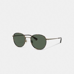 Coach Metal Windsor Round Sunglasses Dark Tortoise/Antique Gold | COH867061