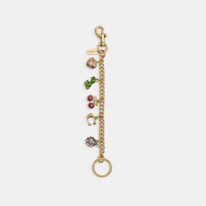Coach Motif Chain Bag Charm Brass/Multi | COH866473