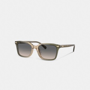 Coach Narrow Square Sunglasses Green/Tan Gradient | COH867083