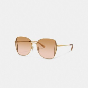 Coach Oversized Butterfly Sunglasses Peach Blush Multi | COH866371
