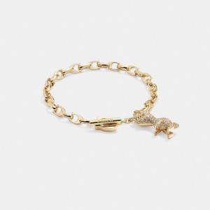 Coach Pavé Rexy Signature Chain Bracelet Gold/Crystal | COH866148