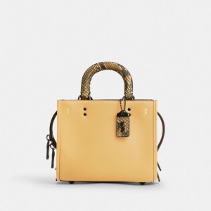 Coach Rogue 17 With Snakeskin Detail Pewter/Hay | COH865167