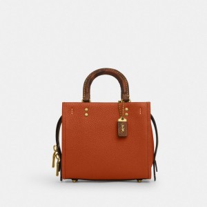 Coach Rogue 20 In Regenerative Leather With Snakeskin Detail Brass/Ginger | COH865173